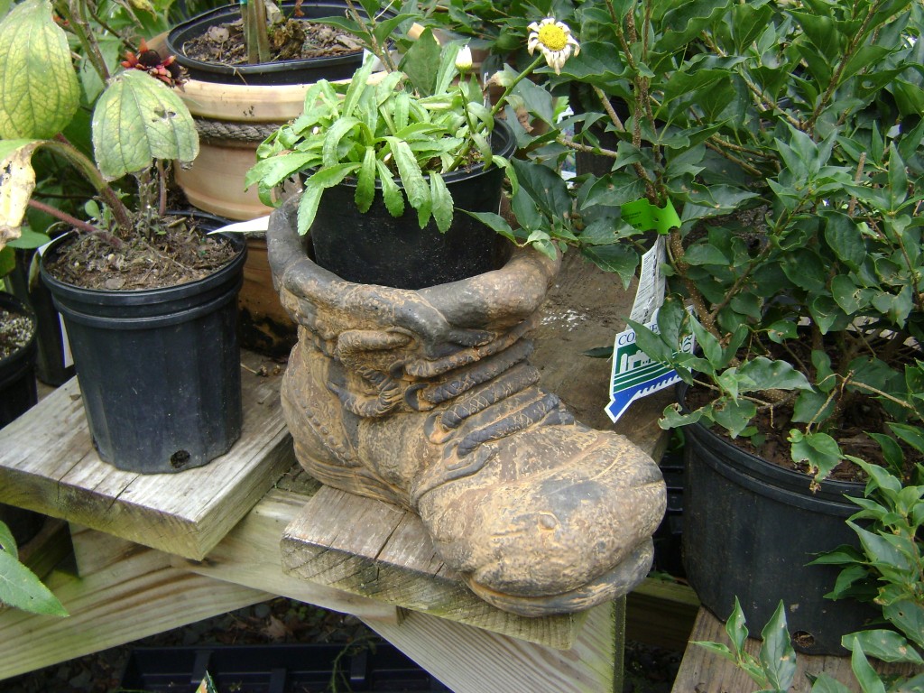 BootContainer
