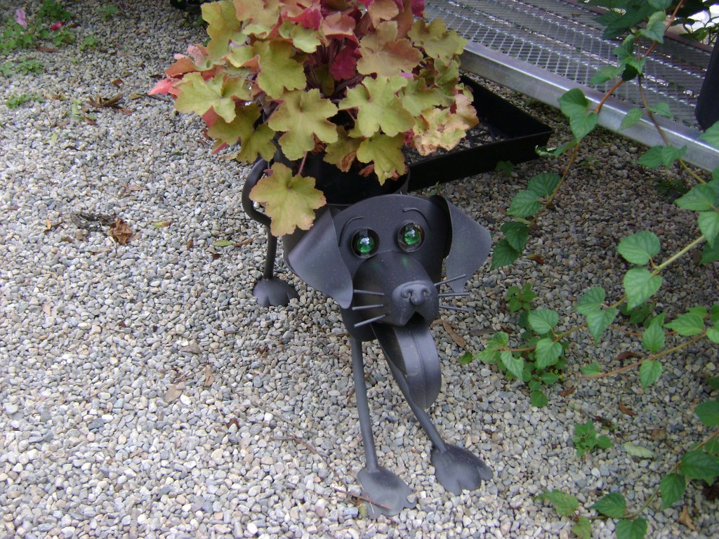 DogContainer
