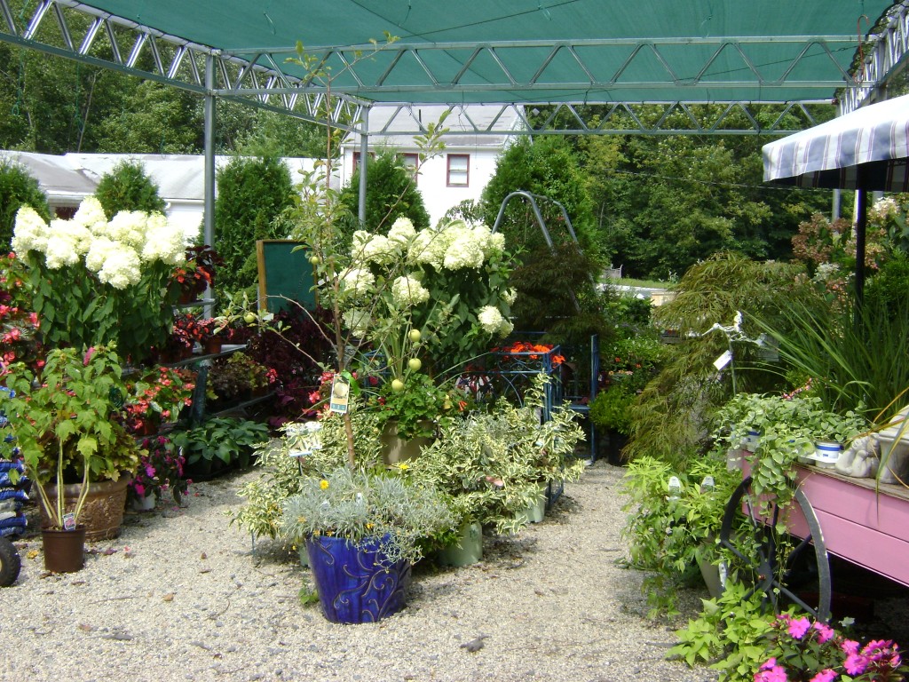 GardenShop1