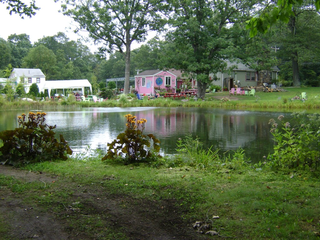 Pond1
